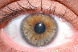 お客様は興味が無いと広告は目に入らない